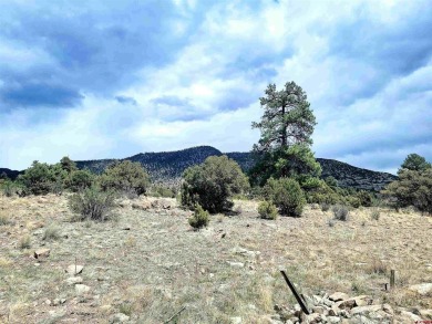 Connie Goodnight, Land Properties, LLC, C: , connie,  : The on Rio Grande Golf Club in Colorado - for sale on GolfHomes.com, golf home, golf lot