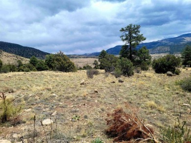 Connie Goodnight, Land Properties, LLC, C: , connie,  : The on Rio Grande Golf Club in Colorado - for sale on GolfHomes.com, golf home, golf lot