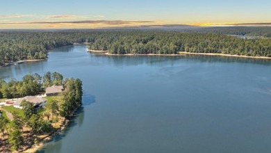 Welcome to the beautiful redesign of 341 Crown Point, in the on Tara Golf Club At Savannah Lakes in South Carolina - for sale on GolfHomes.com, golf home, golf lot