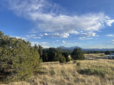 Build your dream in the gated community of Black Diamond Park on Walsenburg Golf Club in Colorado - for sale on GolfHomes.com, golf home, golf lot