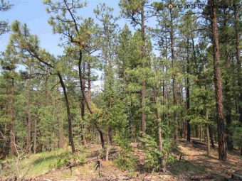 Lot 29 Is 0.567 Acres And Is Situated In Higher Steeper Terrain on Pendaries Village Community Assoc. in New Mexico - for sale on GolfHomes.com, golf home, golf lot