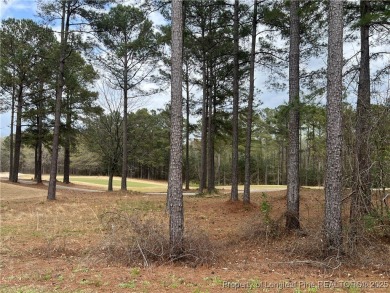Experience the epitome Condo Living in The Gated Community at on Anderson Creek Golf Club in North Carolina - for sale on GolfHomes.com, golf home, golf lot