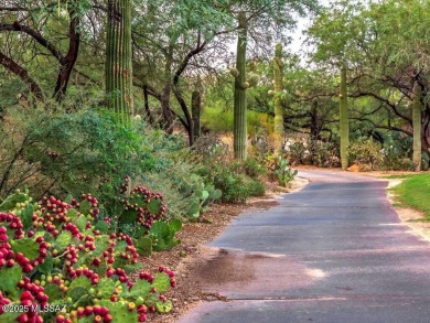 This exceptional home has been meticulously renovated from top on Arizona National Golf Club in Arizona - for sale on GolfHomes.com, golf home, golf lot