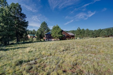 Charming 3-Bedroom Mountain Retreat with A/C!  Nestled among on Angel Fire Resort Country Club in New Mexico - for sale on GolfHomes.com, golf home, golf lot