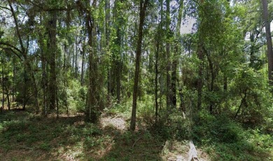 Discover the perfect opportunity to build your dream home on on Citrus Springs Country Club in Florida - for sale on GolfHomes.com, golf home, golf lot
