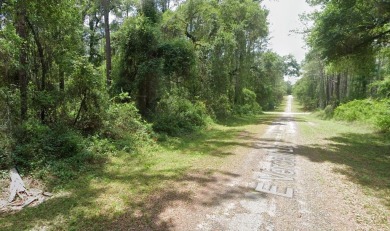 Discover the perfect opportunity to build your dream home on on Citrus Springs Country Club in Florida - for sale on GolfHomes.com, golf home, golf lot