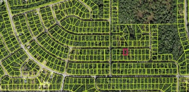 Discover the perfect opportunity to build your dream home on on Citrus Springs Country Club in Florida - for sale on GolfHomes.com, golf home, golf lot