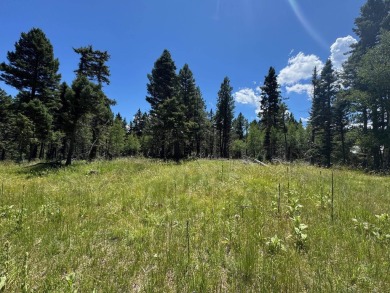 This beautiful, level lot on the front corner of a cul-de-sac is on Angel Fire Resort Country Club in New Mexico - for sale on GolfHomes.com, golf home, golf lot