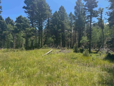 This beautiful, level lot on the front corner of a cul-de-sac is on Angel Fire Resort Country Club in New Mexico - for sale on GolfHomes.com, golf home, golf lot