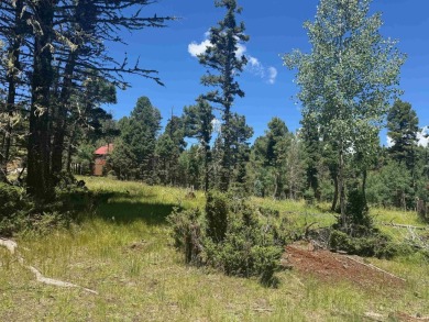 This beautiful, level lot on the front corner of a cul-de-sac is on Angel Fire Resort Country Club in New Mexico - for sale on GolfHomes.com, golf home, golf lot