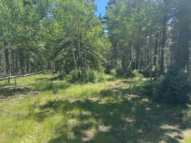 This beautiful, level lot on the front corner of a cul-de-sac is on Angel Fire Resort Country Club in New Mexico - for sale on GolfHomes.com, golf home, golf lot