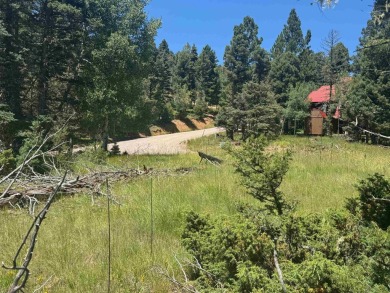 This beautiful, level lot on the front corner of a cul-de-sac is on Angel Fire Resort Country Club in New Mexico - for sale on GolfHomes.com, golf home, golf lot