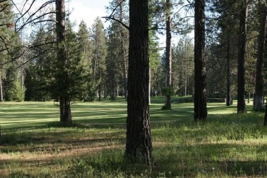 What a great location and opportunity to build your dream house! on Chewelah Golf and Country Club  in Washington - for sale on GolfHomes.com, golf home, golf lot