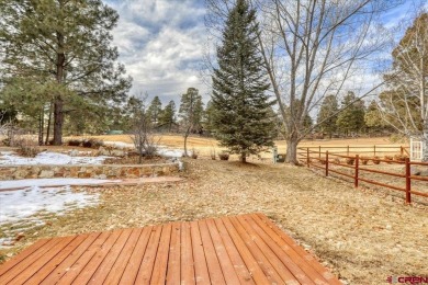 Mike Heraty, ENGEL  VOLKERS Pagosa Springs, C: , Mike,  : Over on Pagosa Springs Golf Club in Colorado - for sale on GolfHomes.com, golf home, golf lot