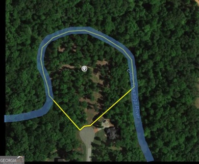 Elegant River Forest Retreat with Gunite salt water Pool on The Club River Forest in Georgia - for sale on GolfHomes.com, golf home, golf lot