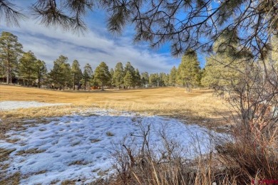 Mike Heraty, ENGEL  VOLKERS Pagosa Springs, C: , Mike,  : Over on Pagosa Springs Golf Club in Colorado - for sale on GolfHomes.com, golf home, golf lot