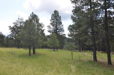 Gradually sloped & easy to build corner lot with great access! on Angel Fire Resort Country Club in New Mexico - for sale on GolfHomes.com, golf home, golf lot