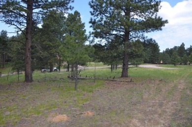 Gradually sloped & easy to build corner lot with great access! on Angel Fire Resort Country Club in New Mexico - for sale on GolfHomes.com, golf home, golf lot