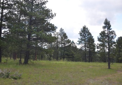 Gradually sloped & easy to build corner lot with great access! on Angel Fire Resort Country Club in New Mexico - for sale on GolfHomes.com, golf home, golf lot