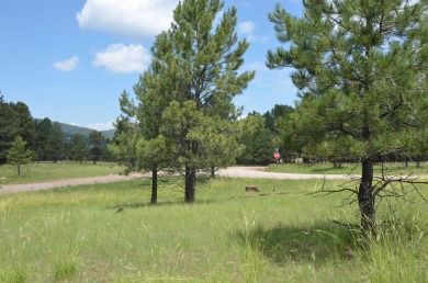 Gradually sloped & easy to build corner lot with great access! on Angel Fire Resort Country Club in New Mexico - for sale on GolfHomes.com, golf home, golf lot