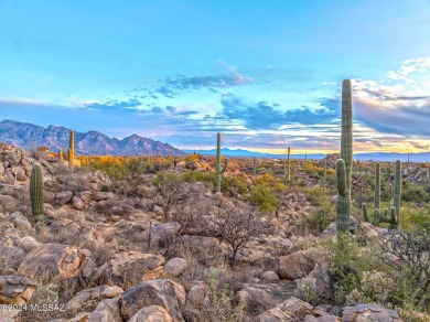 Tucked into the Tortolita Mountain foothills, this prime piece on Stone Canyon Club in Arizona - for sale on GolfHomes.com, golf home, golf lot