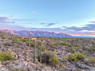 Tucked into the Tortolita Mountain foothills, this prime piece on Stone Canyon Club in Arizona - for sale on GolfHomes.com, golf home, golf lot