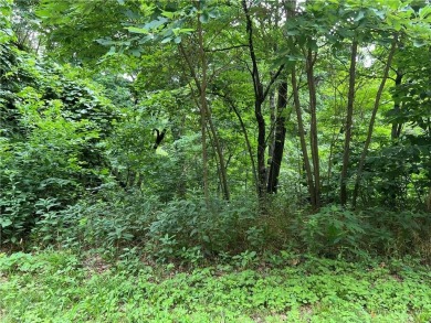 Own a serene slice of the Ozarks with 1.36 acres in Holiday for sale on GolfHomes.com