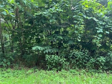 Own a serene slice of the Ozarks with 1.36 acres in Holiday on Holiday Island Executive Golf Course in Arkansas - for sale on GolfHomes.com, golf home, golf lot