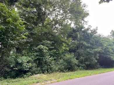 Own a serene slice of the Ozarks with 1.36 acres in Holiday on Holiday Island Executive Golf Course in Arkansas - for sale on GolfHomes.com, golf home, golf lot