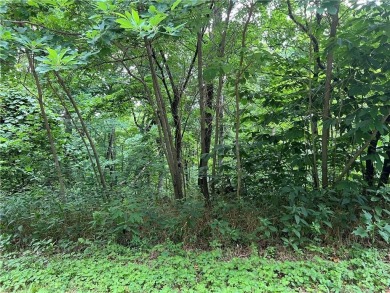 Own a serene slice of the Ozarks with 1.36 acres in Holiday on Holiday Island Executive Golf Course in Arkansas - for sale on GolfHomes.com, golf home, golf lot