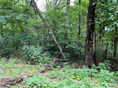 Own a serene slice of the Ozarks with 1.36 acres in Holiday on Holiday Island Executive Golf Course in Arkansas - for sale on GolfHomes.com, golf home, golf lot