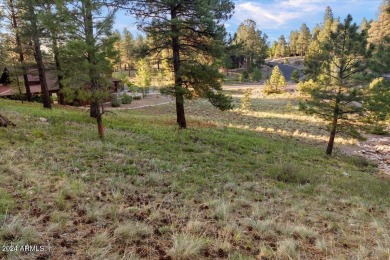 Build your dream home in Pine Canyon, Flagstaff in one of the on Pine Canyon Golf Course in Arizona - for sale on GolfHomes.com, golf home, golf lot