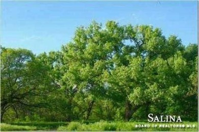 Located in east Salina. Close to golf course, common area on Elks Country Club in Kansas - for sale on GolfHomes.com, golf home, golf lot