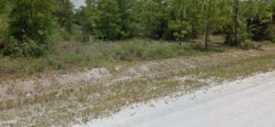 Build your dream home on this 1+ acre lot with NO HOA. This lot on The Club At Twin Eagles in Florida - for sale on GolfHomes.com, golf home, golf lot