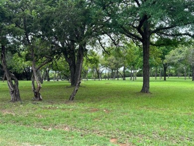 Beautiful lot well maintained and ready to be built on on White Bluff Resort - New Course in Texas - for sale on GolfHomes.com, golf home, golf lot