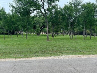 Beautiful lot well maintained and ready to be built on on White Bluff Resort - New Course in Texas - for sale on GolfHomes.com, golf home, golf lot