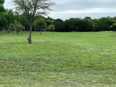 Beautiful lot well maintained and ready to be built on on White Bluff Resort - New Course in Texas - for sale on GolfHomes.com, golf home, golf lot