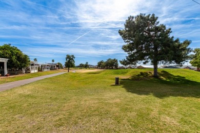 Your new adorable cozy 1 bedroom, 2 bath home with a huge family on Viewpoint Golf Resort in Arizona - for sale on GolfHomes.com, golf home, golf lot