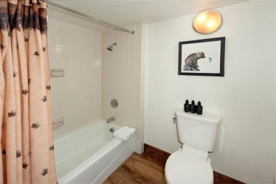Premier Pines location overlooking Keystone's River Course golf on The River Course At Keystone in Colorado - for sale on GolfHomes.com, golf home, golf lot