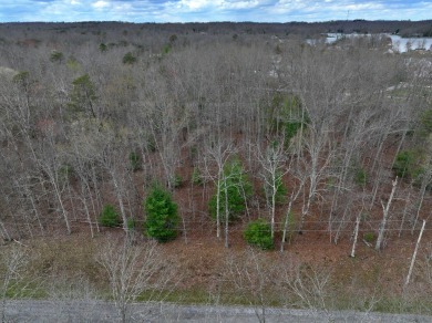 Check out this nice level and wooded lot right across the street on Lake Tansi Village Country Club in Tennessee - for sale on GolfHomes.com, golf home, golf lot