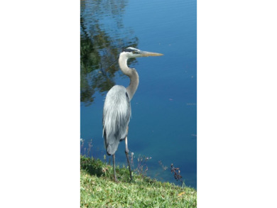 Under contract-accepting backup offers. Experience the ease and on River Isles Golf Club in Florida - for sale on GolfHomes.com, golf home, golf lot