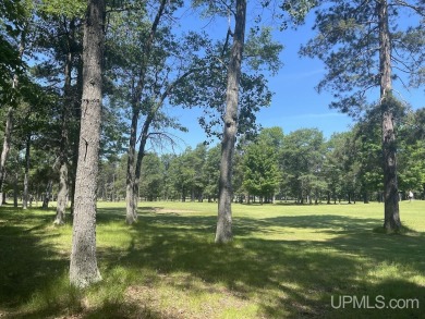 Beautiful wooded double lot along hole #12 fairway on Lake Bluff on Terrace Bluff Golf Course in Michigan - for sale on GolfHomes.com, golf home, golf lot