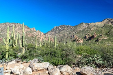 Private Catalina Foothills condo with spectacular views from on The Lodge at Ventana Canyon - Canyon  in Arizona - for sale on GolfHomes.com, golf home, golf lot