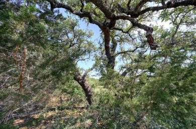 1 Acre on a Quiet Cul De Sac in Rockin J Ranch. Seems the phrase on Vaaler Creek Golf Club in Texas - for sale on GolfHomes.com, golf home, golf lot