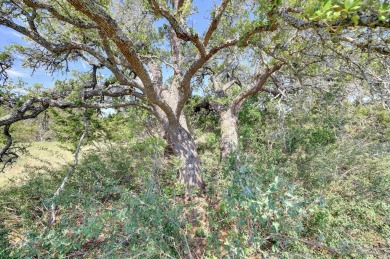 1 Acre on a Quiet Cul De Sac in Rockin J Ranch. Seems the phrase on Vaaler Creek Golf Club in Texas - for sale on GolfHomes.com, golf home, golf lot