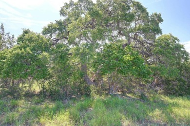 1 Acre on a Quiet Cul De Sac in Rockin J Ranch. Seems the phrase on Vaaler Creek Golf Club in Texas - for sale on GolfHomes.com, golf home, golf lot