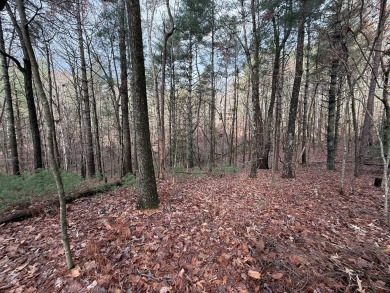 Beautiful and nice-laying lot located in the upscale community on White Path Golf Club in Georgia - for sale on GolfHomes.com, golf home, golf lot