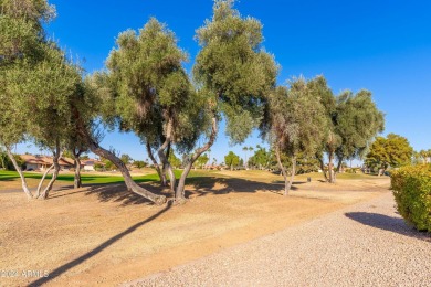 Gold Key Remodeled Montera Sitting on One of The BEST Golf on Echo Mesa Golf Course in Arizona - for sale on GolfHomes.com, golf home, golf lot