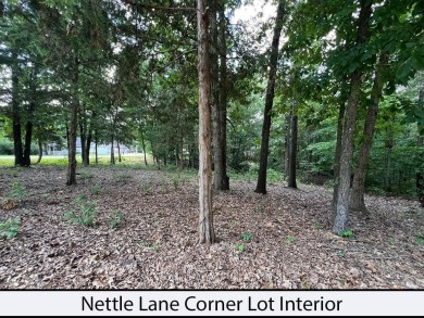 Nettle Lane is 2 minutes to the Back 40 and Blowing Springs on Bella Vista - Metfield Golf Complex and Country Club in Arkansas - for sale on GolfHomes.com, golf home, golf lot