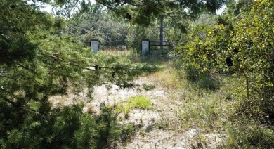 Discover a rare slice of Palm Coast that blends peaceful country on Conservatory Course At Hammock Beach Resort in Florida - for sale on GolfHomes.com, golf home, golf lot